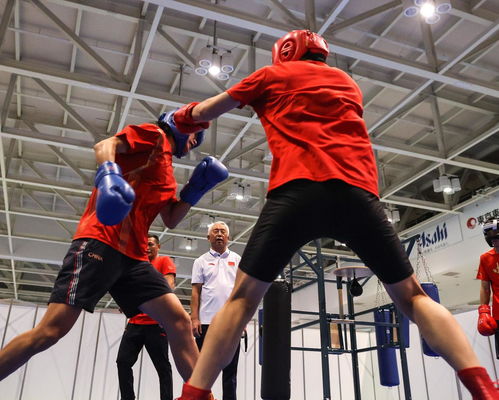 2020年東京奧運(yùn)會拳擊比賽 賽事組織與特色