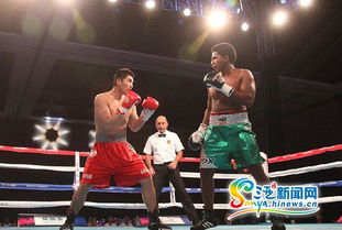 2015世界拳擊聯(lián)賽三亞落幕 中國龍不敵墨西哥勇士，拳擊賽事組織迎發(fā)展契機(jī)