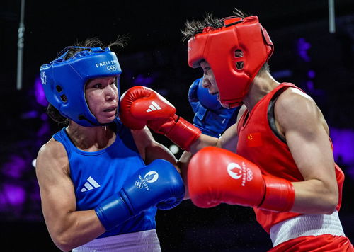 巴黎奧運會 楊文璐晉級拳擊女子60公斤級四分之一決賽，展現賽事組織與競技風采